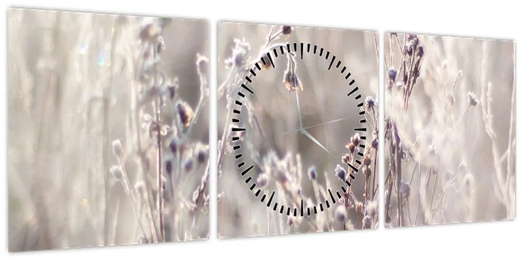 Kép - Növény (órával) (90x30 cm)
