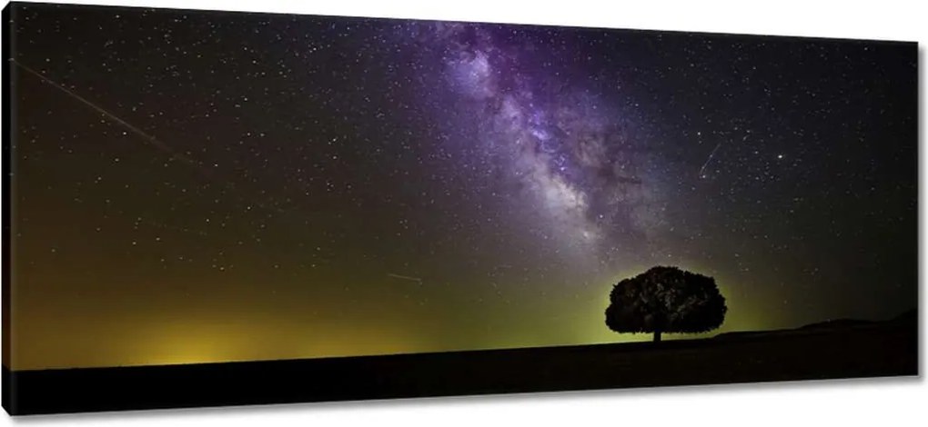 Vászonkép 100x40 Csillagos éj