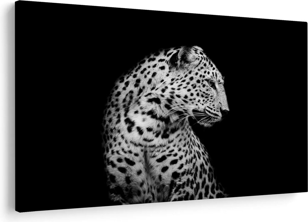 Kép - Leopárd (90x60 cm)