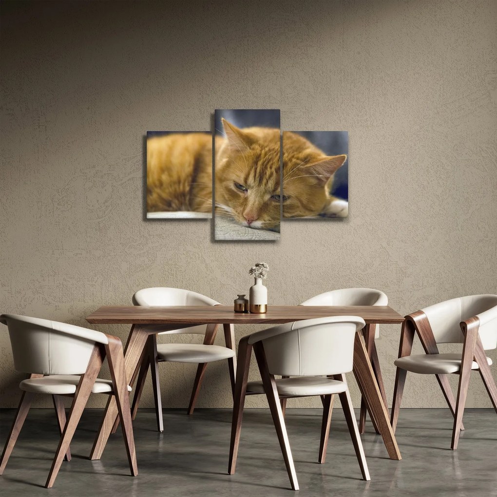 Macska képe (90x60 cm)