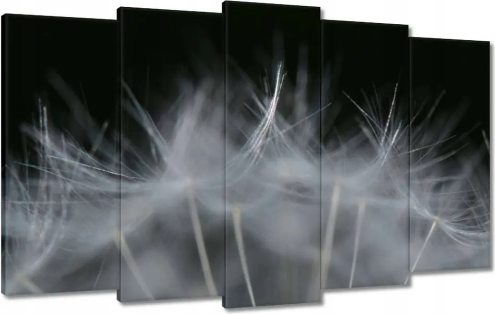 Vászonkép 100x60 Pitypang Virág Virágok