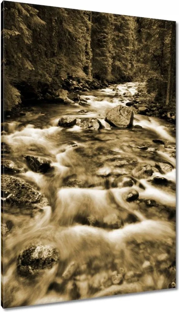 Vászonkép 80x120 Tátra Lengyel hegyek Kilátás