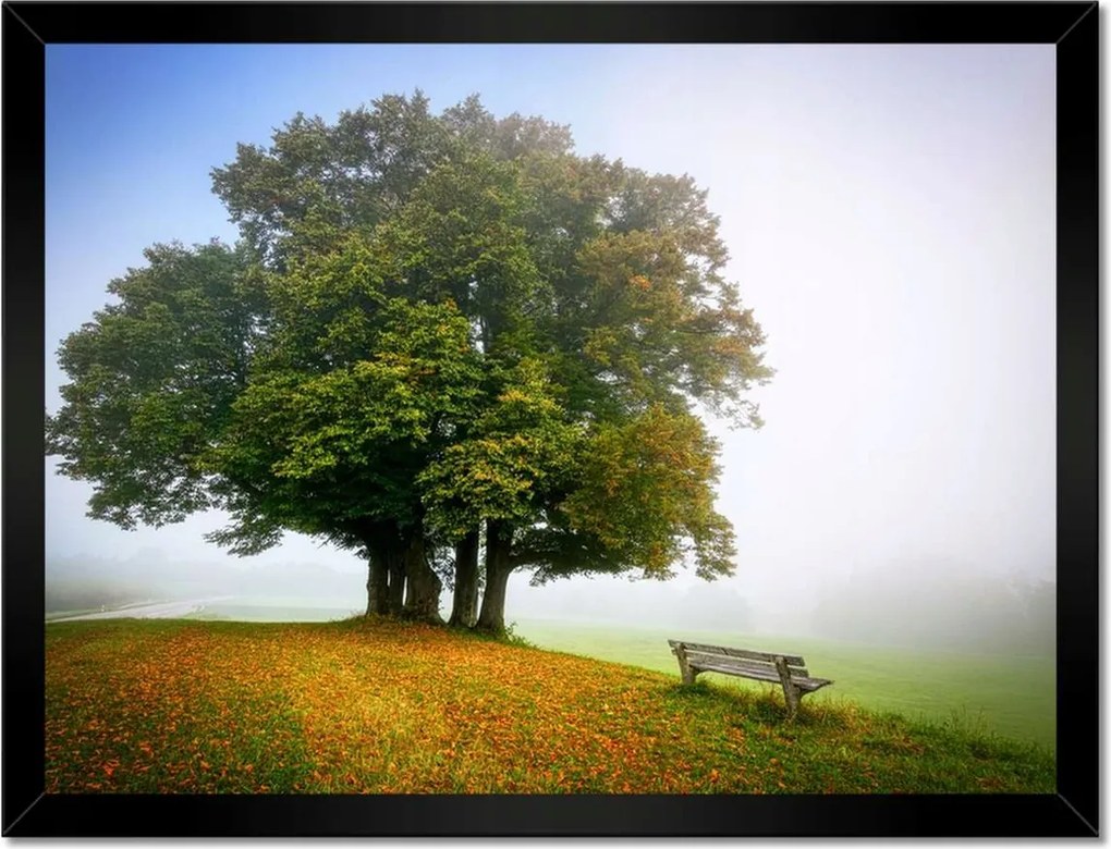 Poszterek keretben 40x30 Tájkép paddal Fa