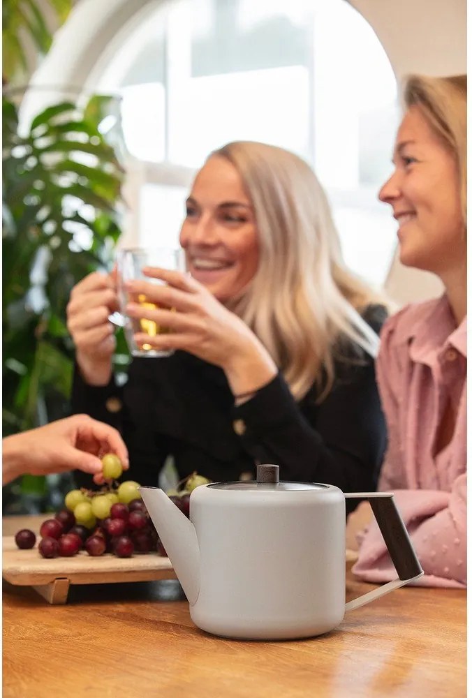 Bézs rozsdamentes acél teáskanna 1,1 l Duet Boston – Bredemeijer