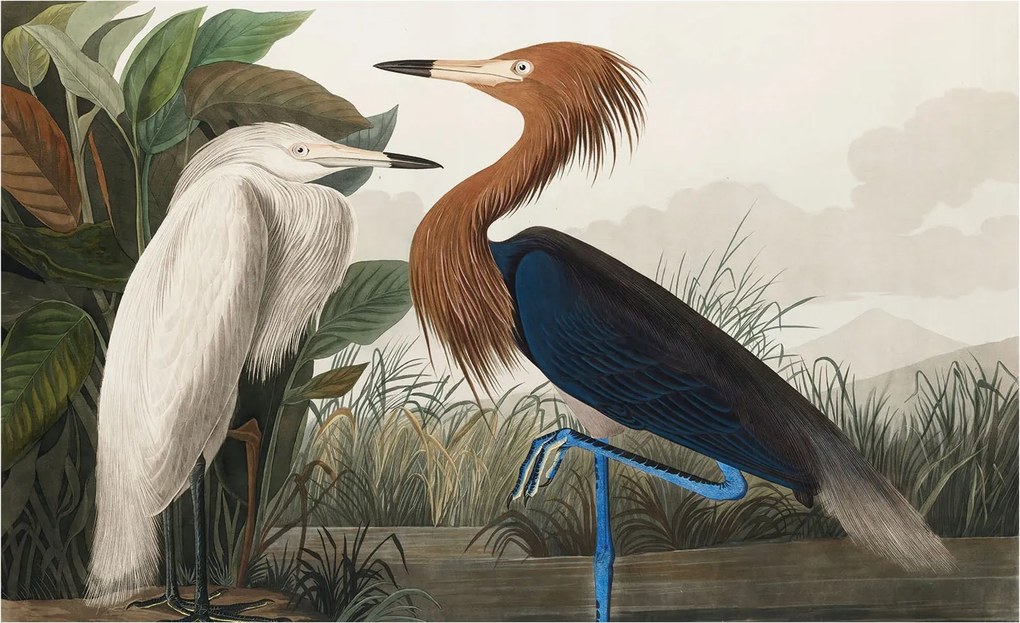 Fotótapéta Flizelin Fal a Hálószobába Madarak a növényekben 416x254 Ragasztó