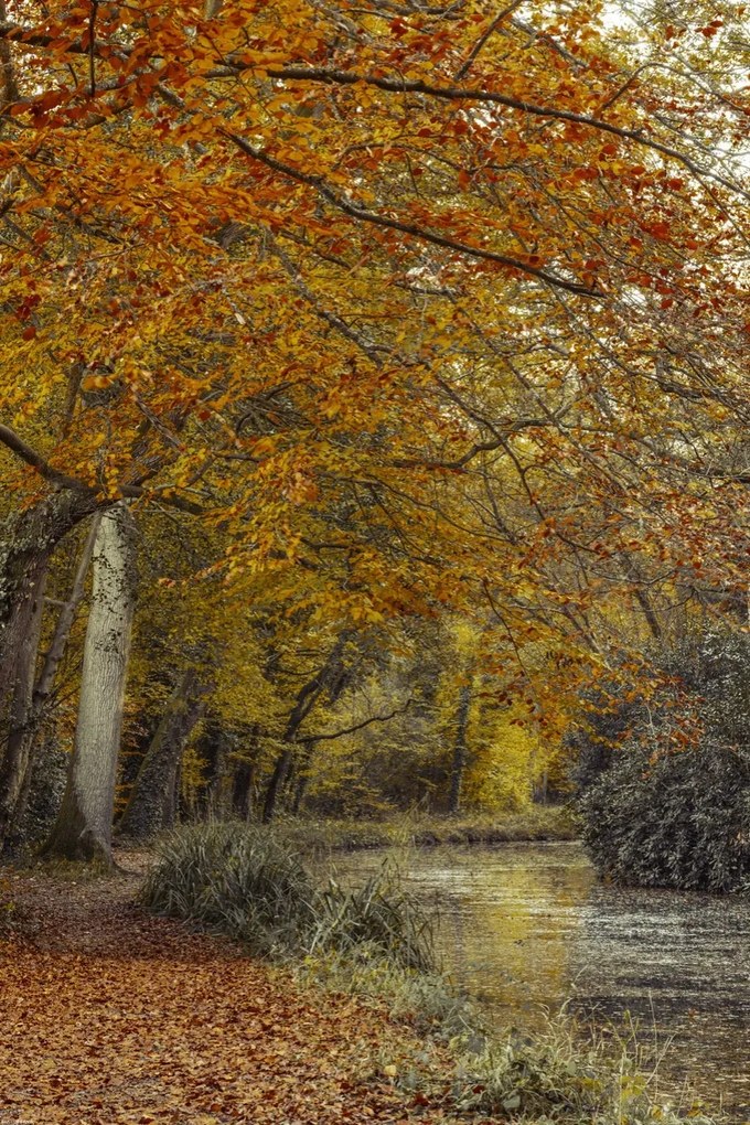 Poszter 40x60cm Ösvény a csatornánál, Assaf Frank