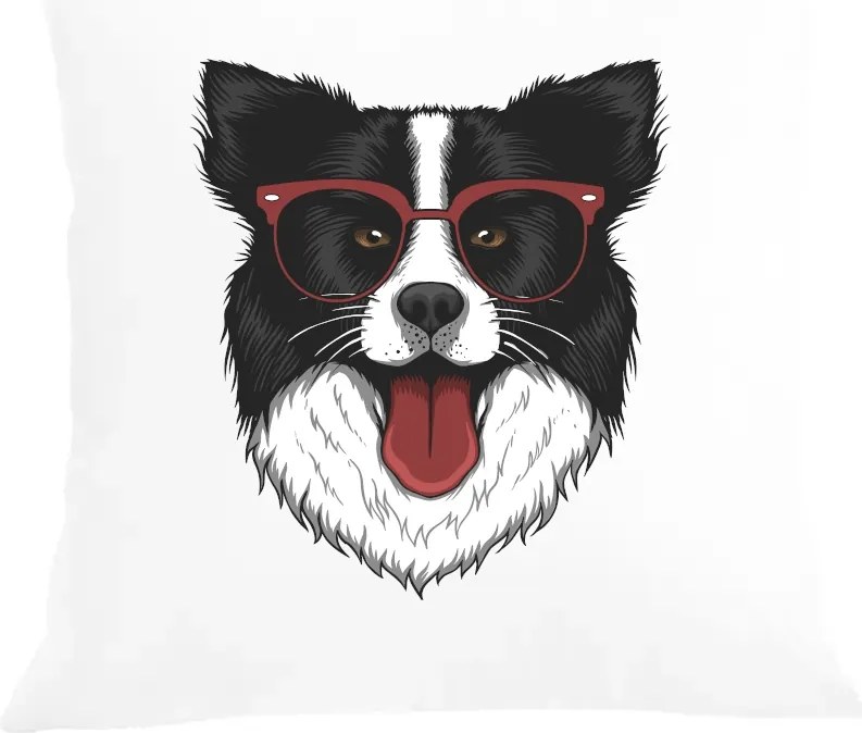 Párna párnahuzat Border Collie Kutya mintás