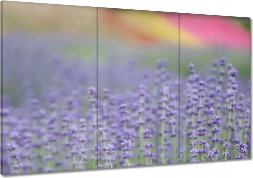 Vászonkép 120x80 Levendula világ