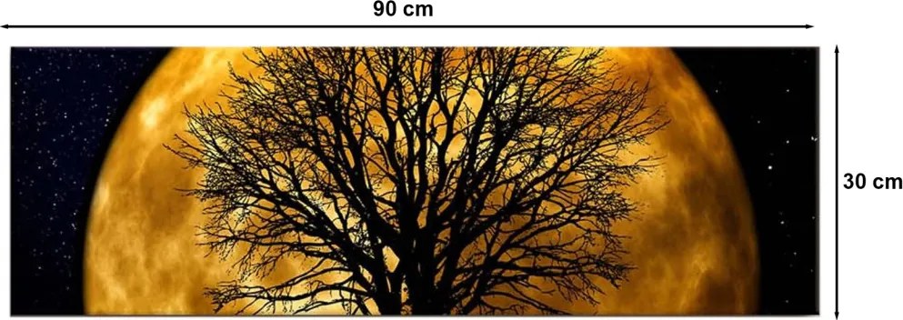 Vászonkép, 30×90 cm – 3090DACT-71