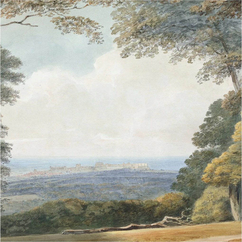 Stílusos Dekoratív fotótapéta Flizelin Erdős táj 250x250