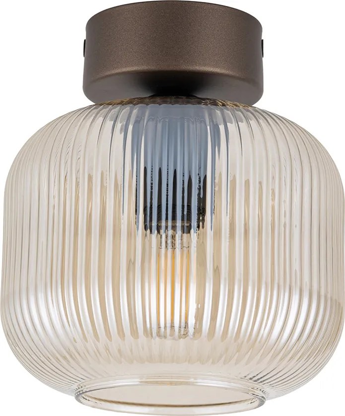 Salvia általános mennyezeti lámpa