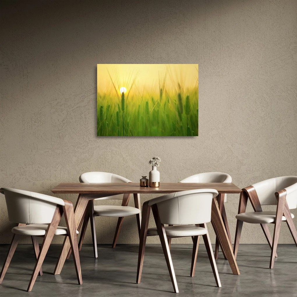Kép - Mező gabonával (üvegen) (70x50 cm)