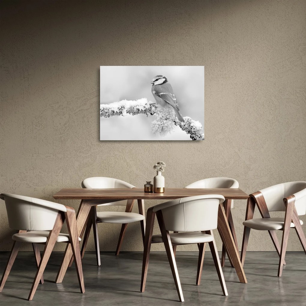Üveg kép - Egy madár egy ágon (70x50 cm)