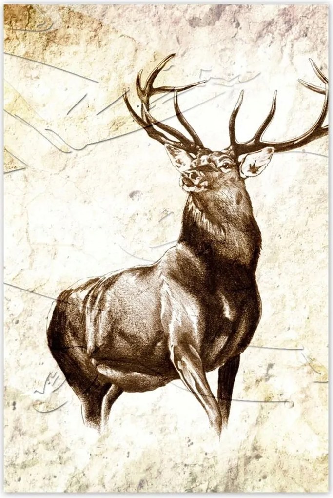 Poszterek 80x120 Nagy szarvas