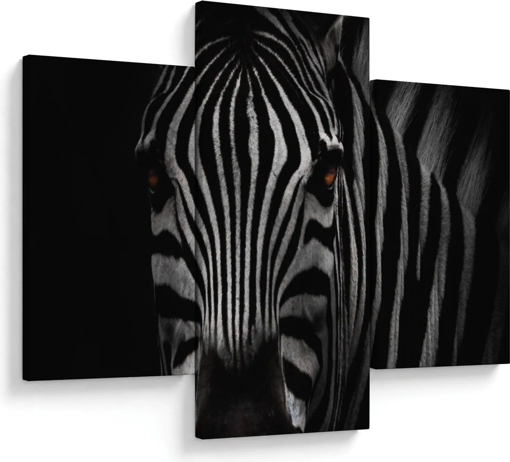 Zebra képe (90x60 cm)