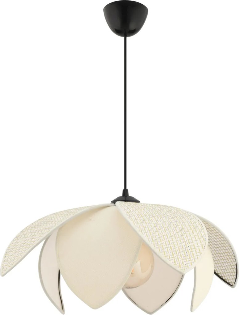 Peony Hazeran - White, Cream