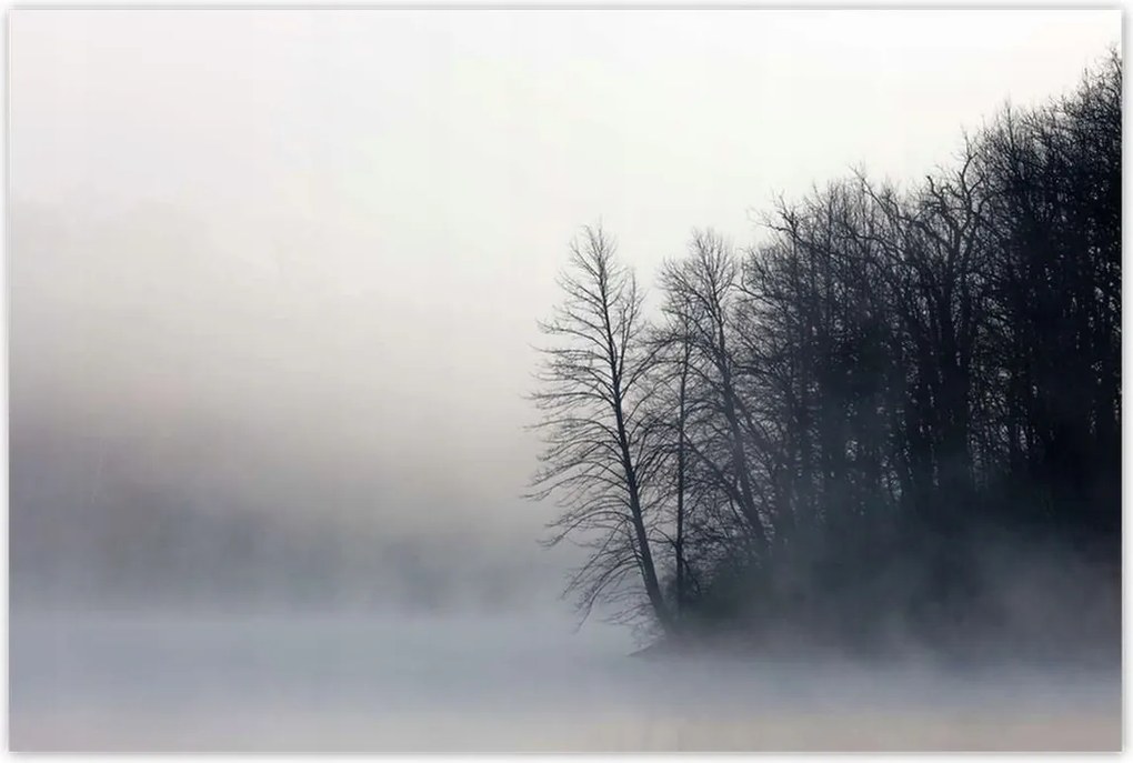 Poszterek 120x80 Ködös erdő Tél