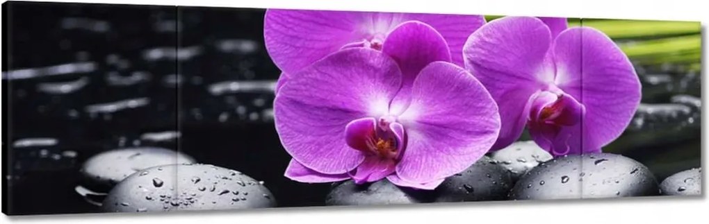 Vászonkép 170x50 Orchidea Valentin napra