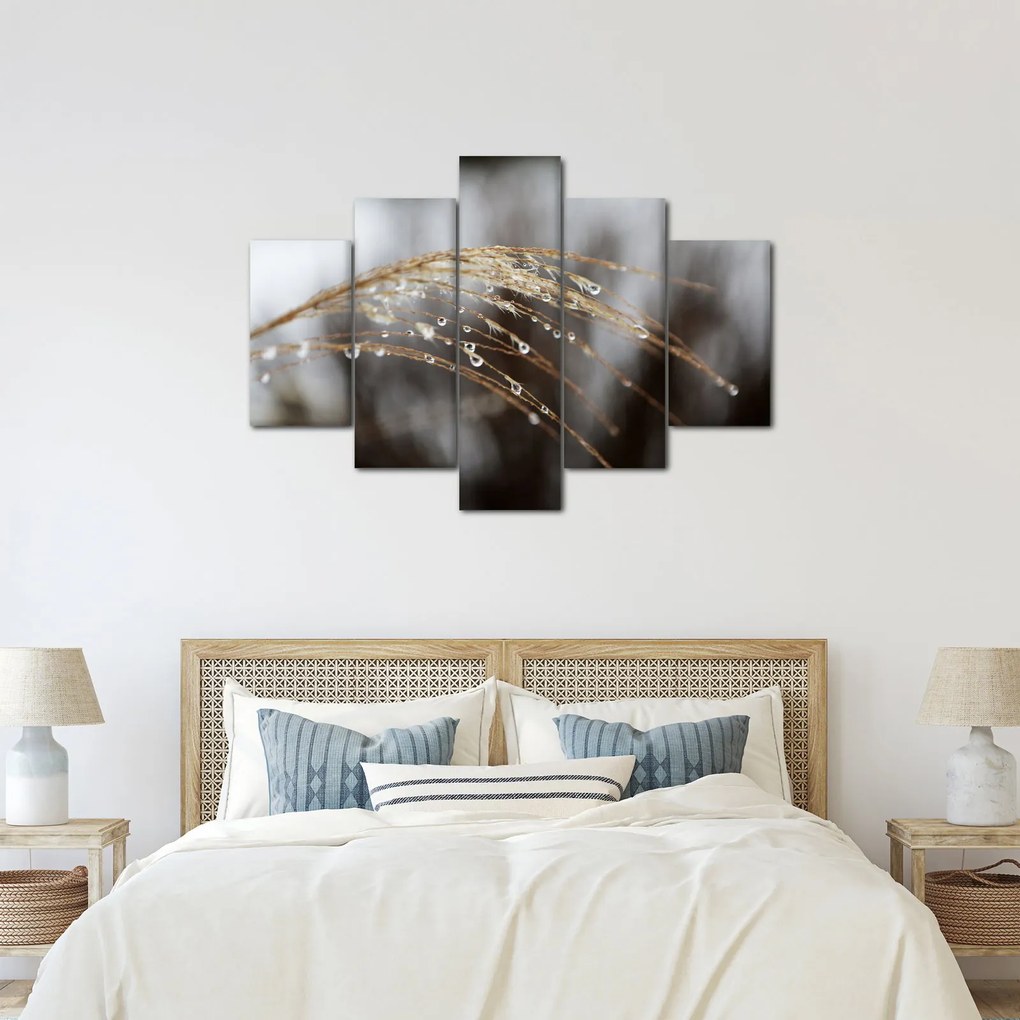Cseppkép egy növényen (150x105 cm)