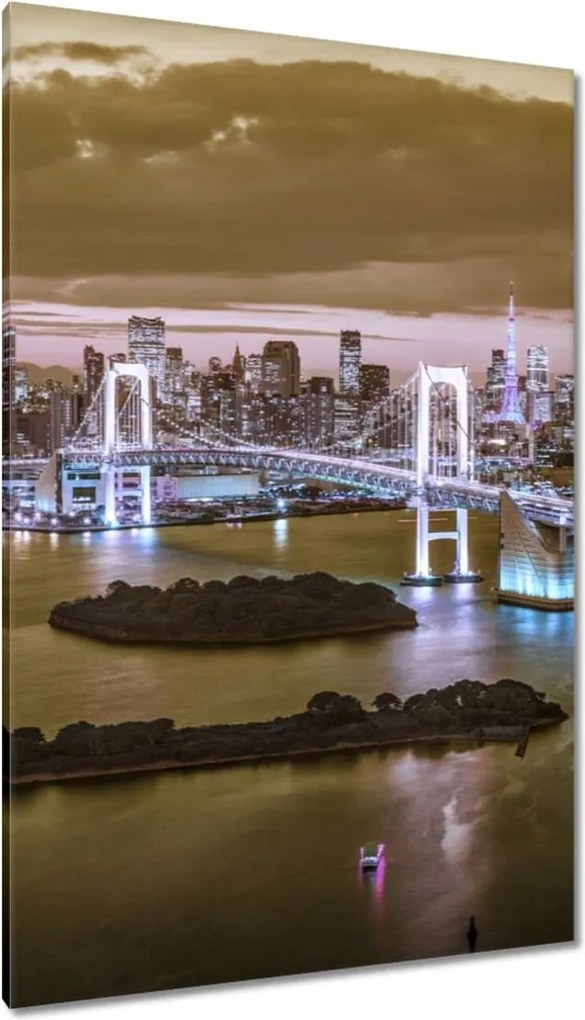 Vászonkép 80x120 Szivárványhíd Tokióban