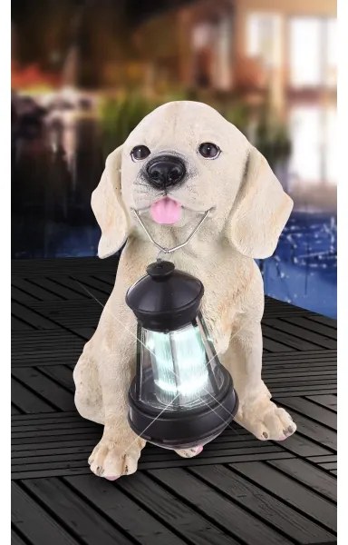 Globo 33271 - LED napelemes lámpa SOLAR 1xLED/0,06W/3V IP44