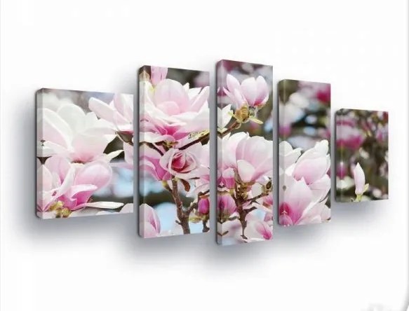 Vászonkép 170x100 Magnólia virágzás tavasz rózsaszín fehér virágok természet