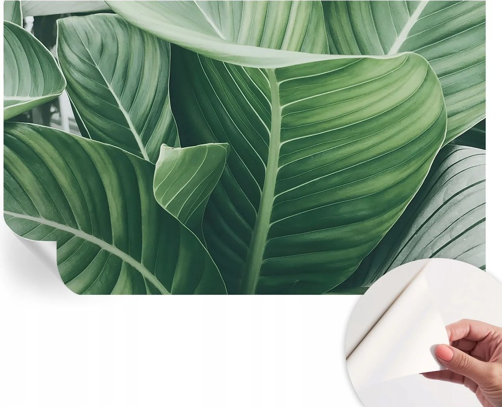 Öntapadós Dekoratív Fotótapéta Hálószobába Zöld nyugalom 416x254 cm