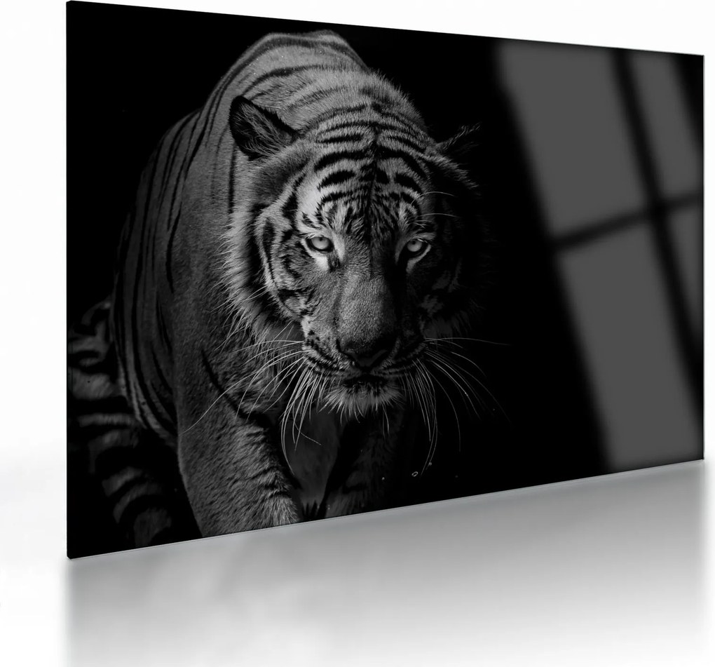 Egy vadtigris képe (üvegen) (70x50 cm)