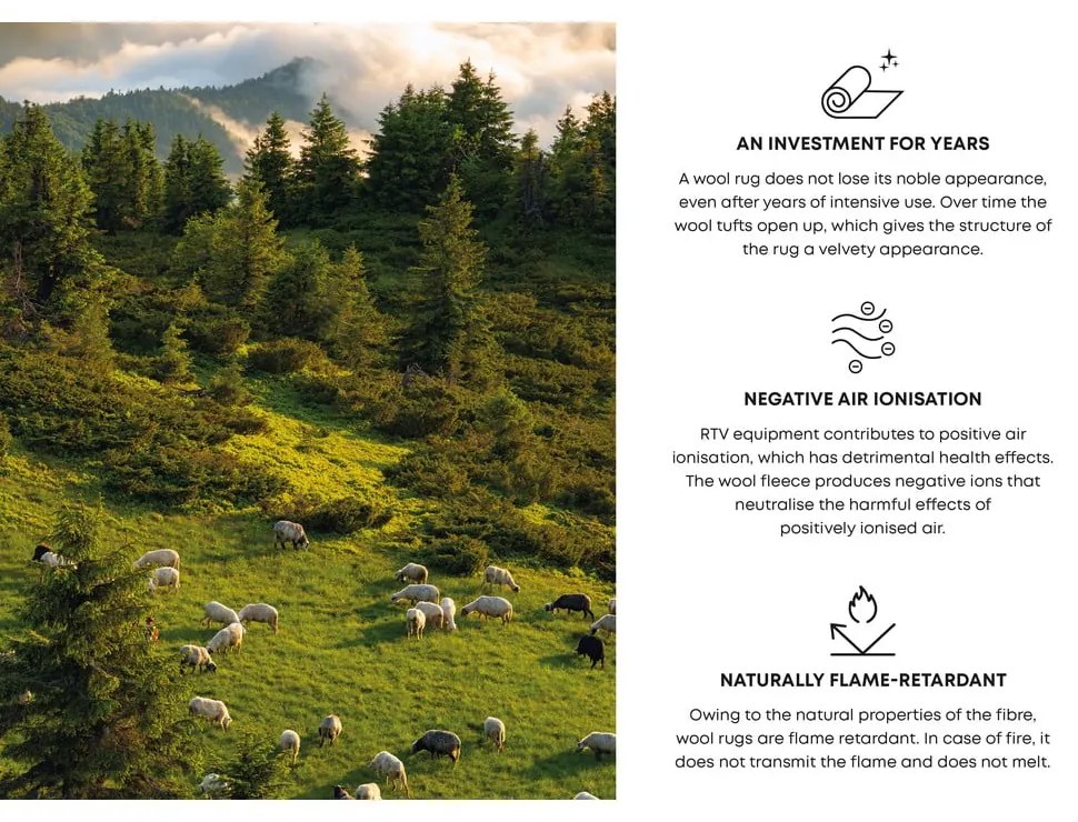 Világosszürke gyapjú szőnyeg 133x190 cm Dive – Agnella