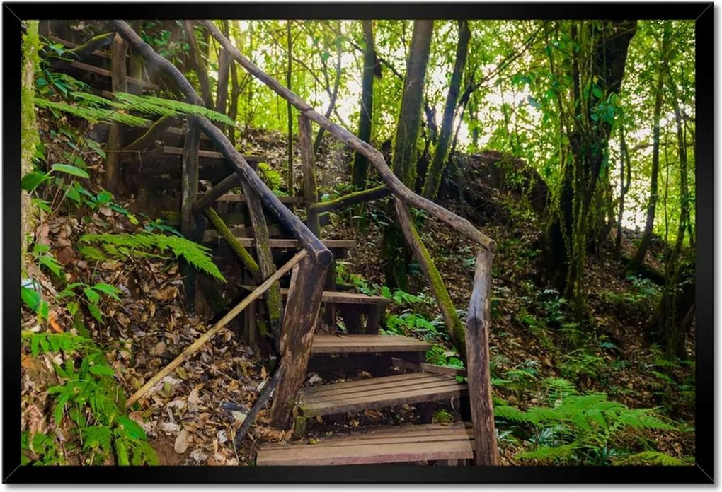 Poszterek keretben 60x40 Gyalogtúra