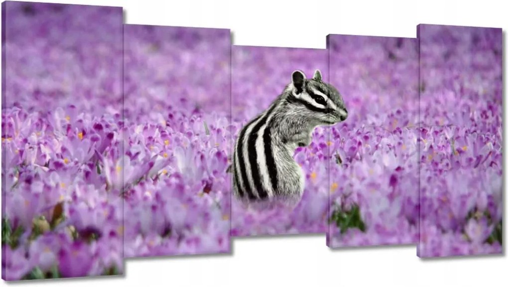 Vászonkép 150x80 Állatok