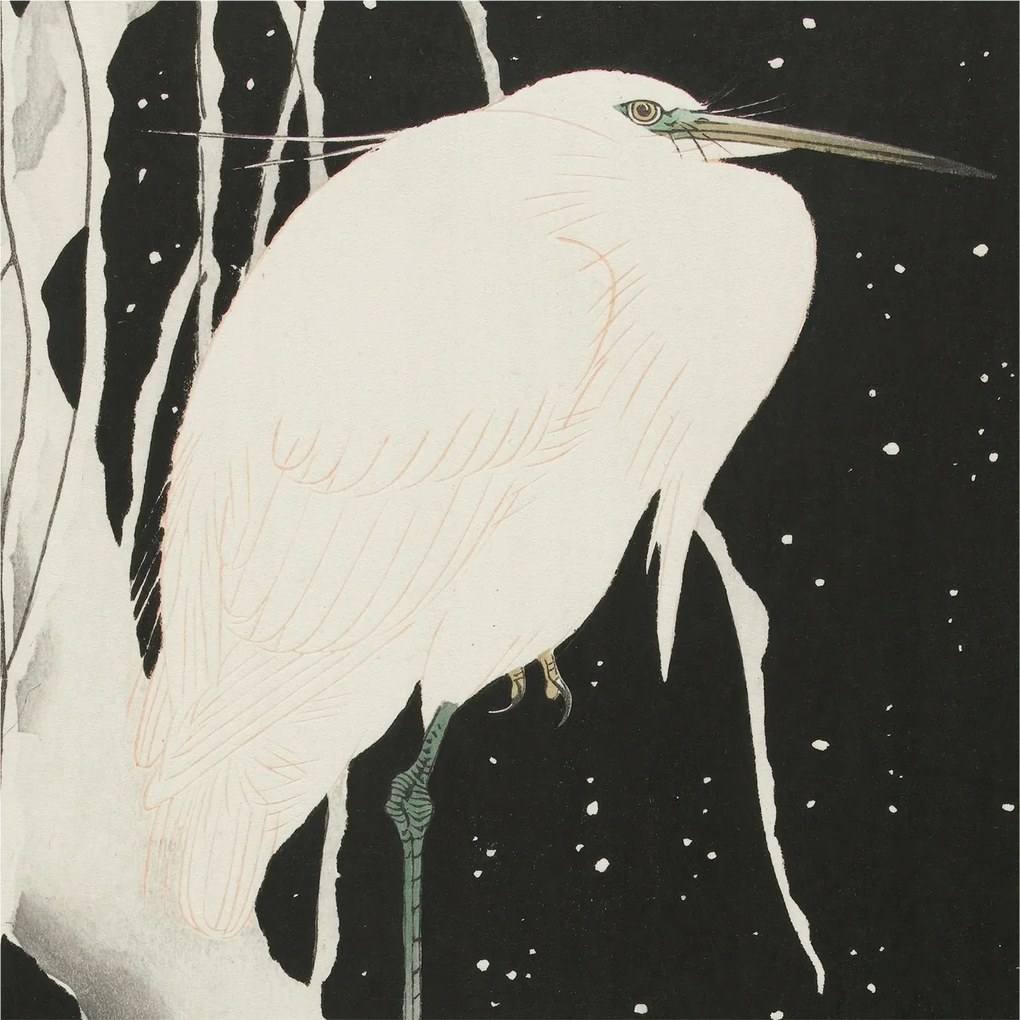 Dekoratív Fotótapéta Hálószobába Téli madár 250x250 Ragasztó