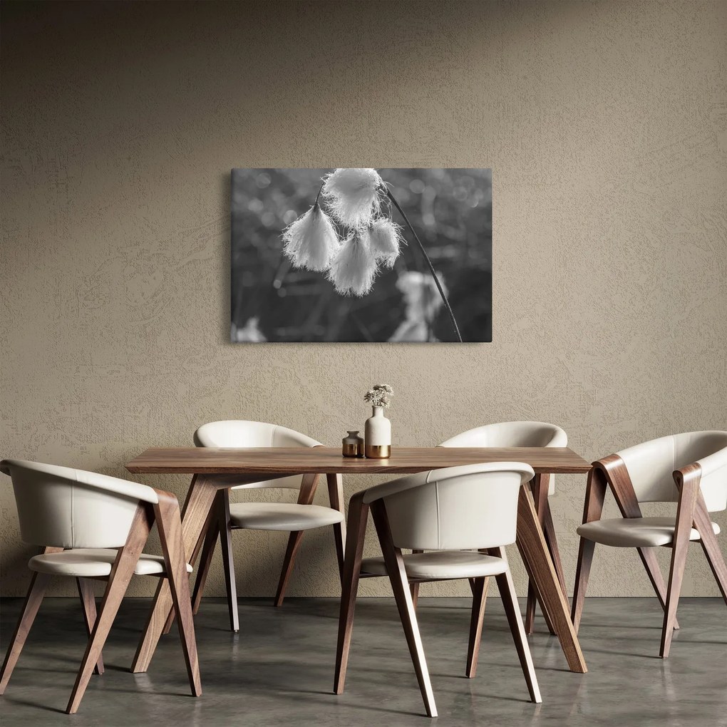 Kép - Cottongrass (90x60 cm)