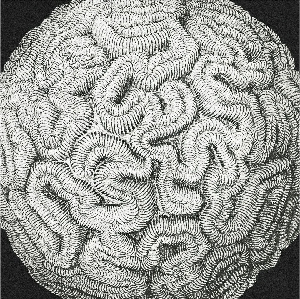 Fotótapéta Flizelin Design Divatos Gömb alakú szerkezet 250x250 Ragasztó