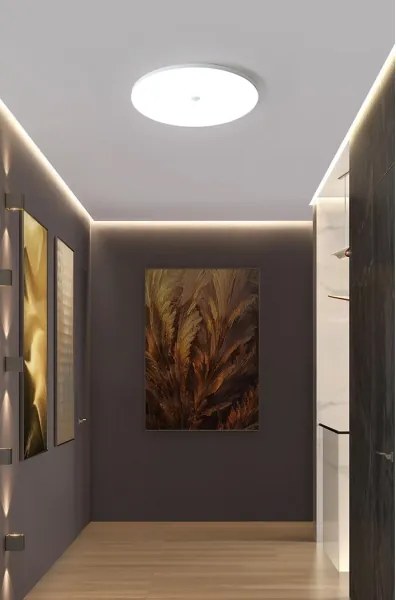 LED mennyezeti lámpa alkonyat- és mozgásérzékelővel MORETTI 24W/230V átm. 30 cm IP40 6500K