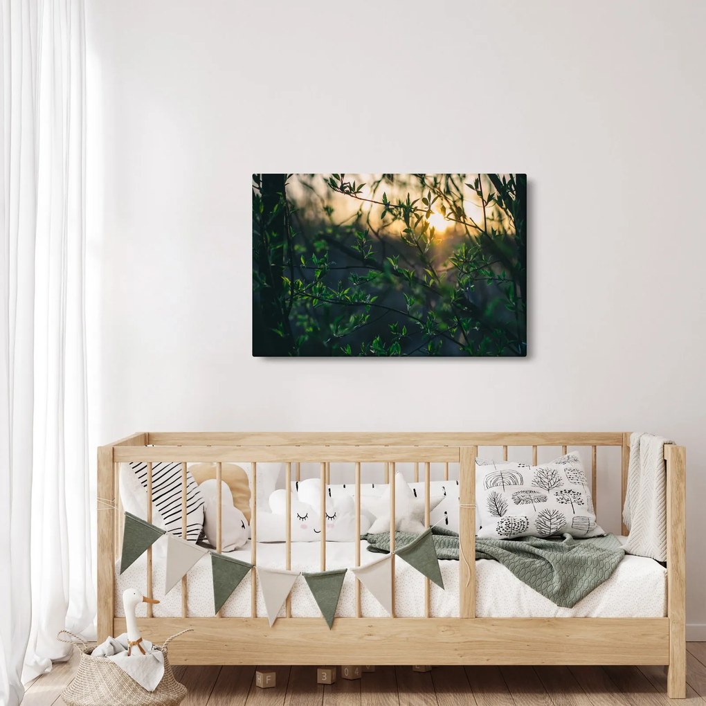 A ragyogó nap képe a fák gallyain keresztül (90x60 cm)