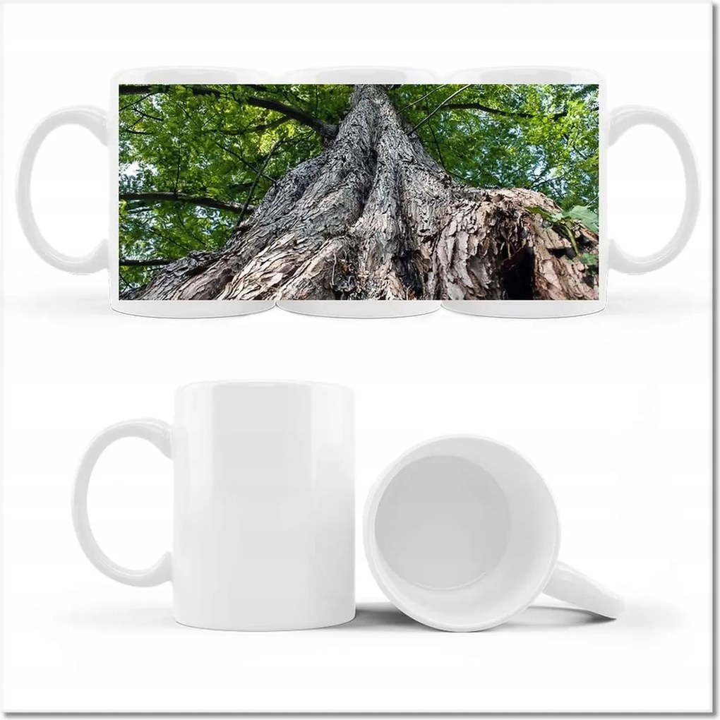 Fotó bögre Fa Fák Kilátás