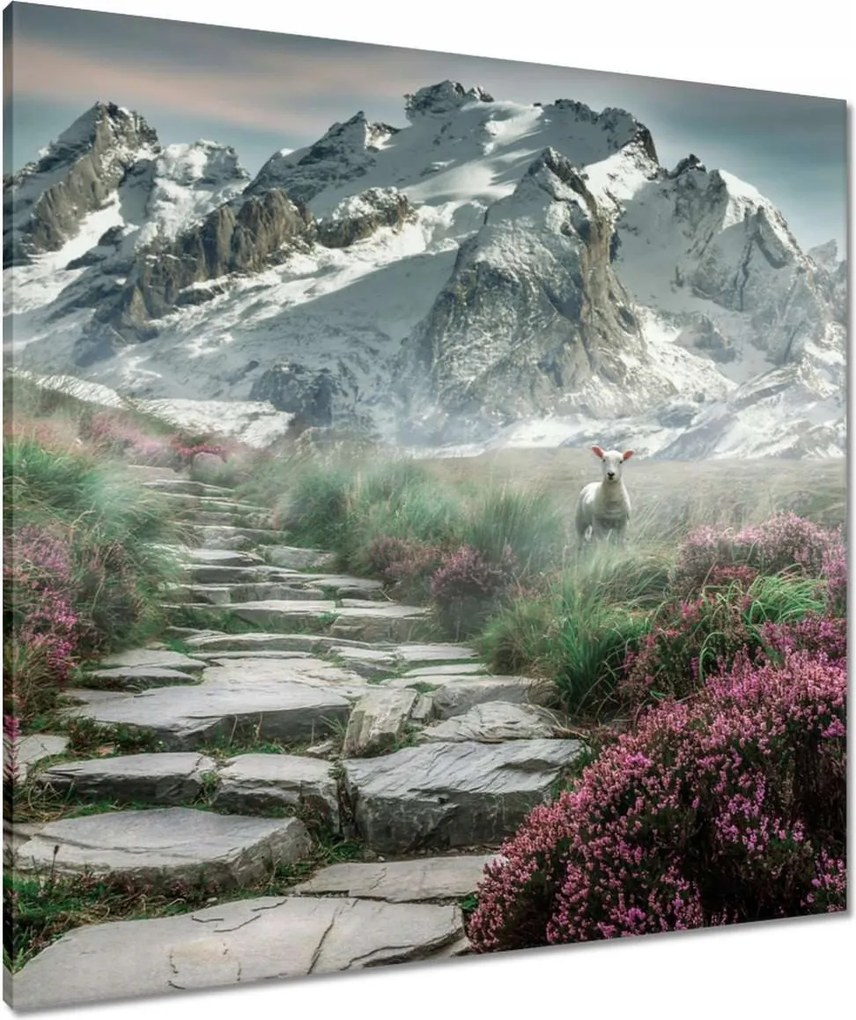 Vászonkép 80x80 Hegyi kilátás Tájkép Köd