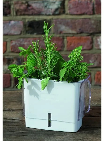 Cole&Mason - Tartály frissen vágott fűszernövények tárolására