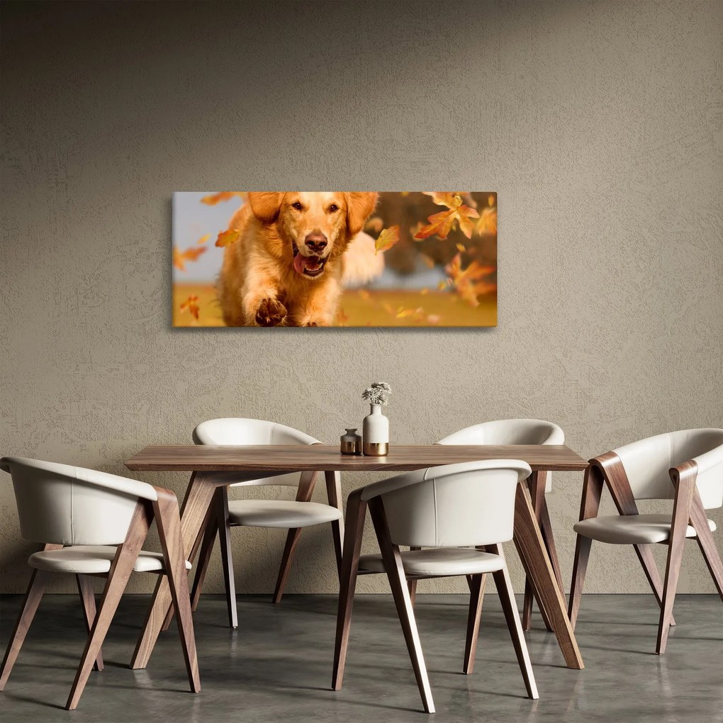 Kép - Golden Retriever (120x50 cm)