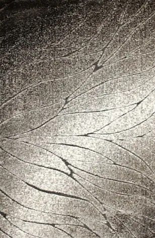 Új Shaggy Luna Szőnyeg 133X190 CM Szürke_ 3D Hatás_