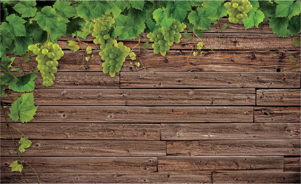 Fotótapéta Szőlő a fa falon Rusztikus 368x254 +ragasztó