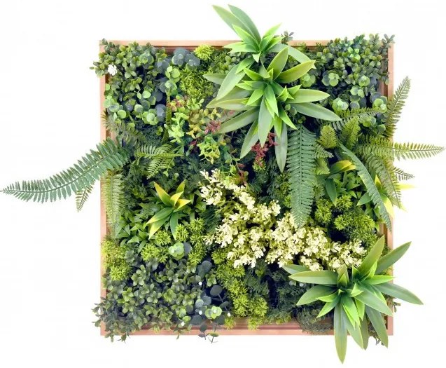 Harmonia II. műanyag zöldfal 50x50 cm