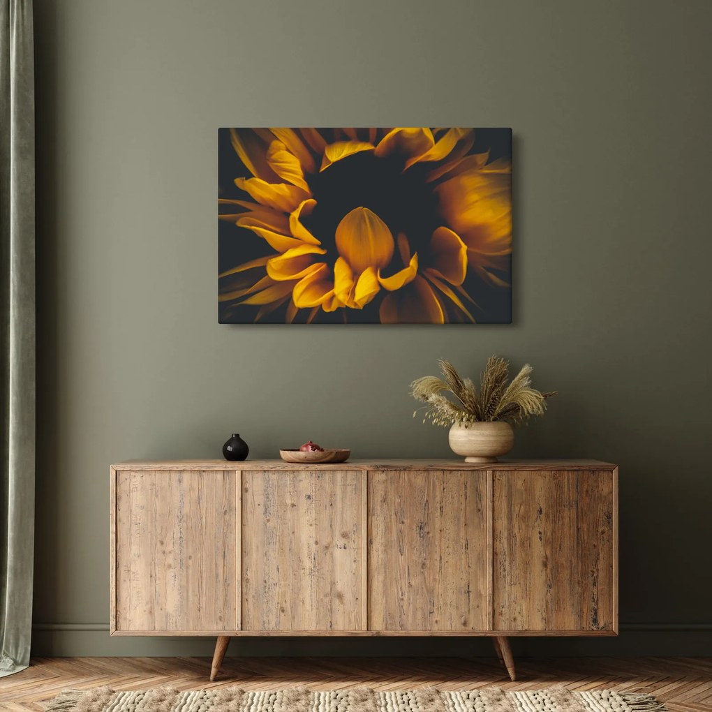 Kép - Napraforgó fekete háttérben (90x60 cm)