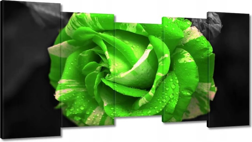 Vászonkép 150x80 Lime rózsa