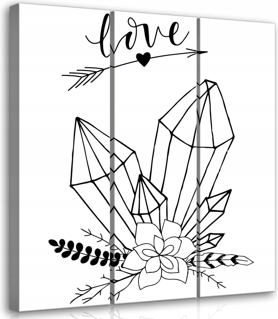 Vászonkép 90x100 szerelem kristályok botanika minimalizmus grafika fekete fehér