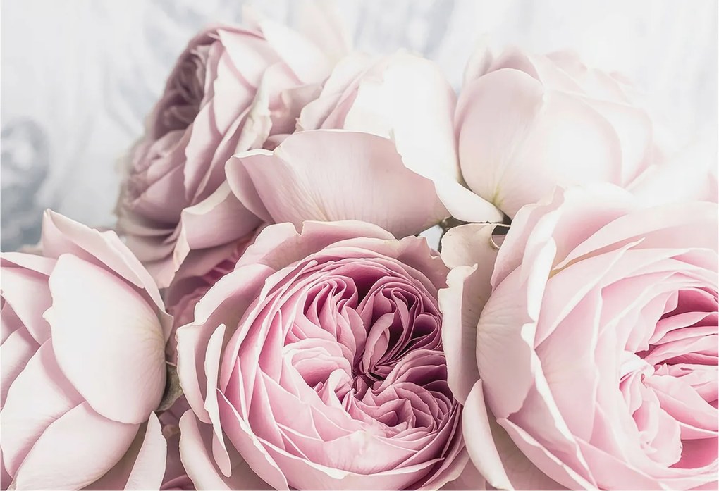 Flizelina fotótapéta Nappaliba és Hálószobába Rózsaszín rózsák 152x104 Ragasztó