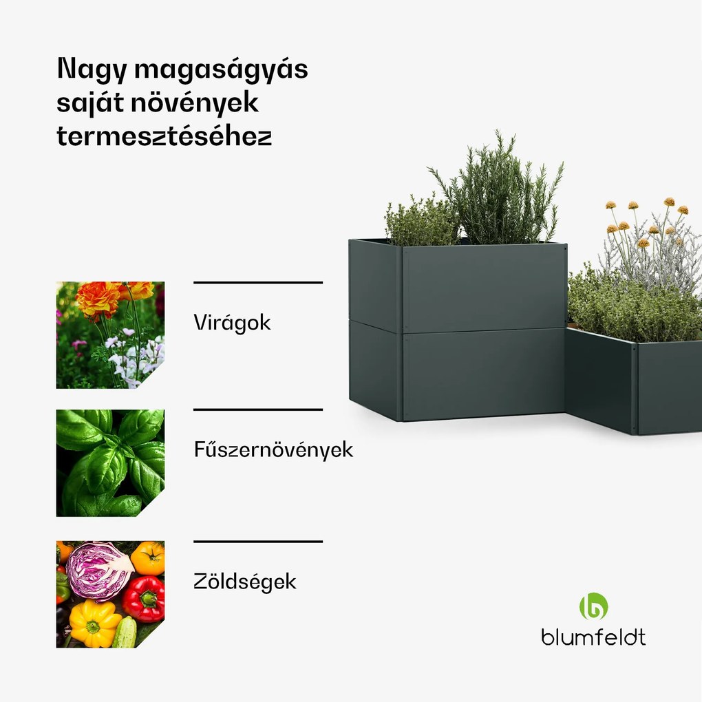 Blumfeldt Versagrow magaságyás 12 modullal, egyedi forma, 1 mm vastagság, rozsdamentes acél