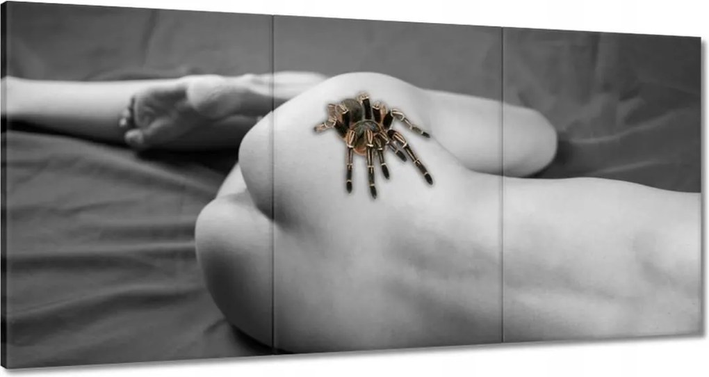 Vászonkép 180x90 Pók akt Nő