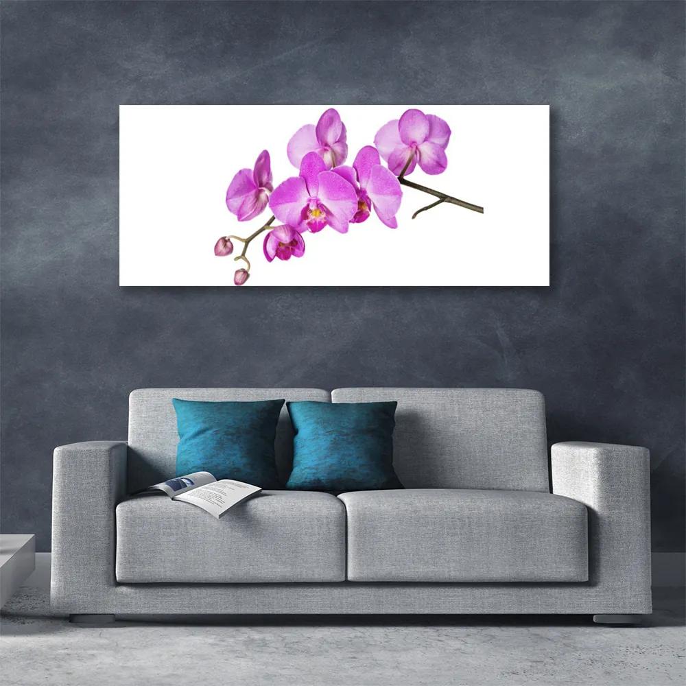 Vászonkép nyomtatás Orchidea Orchidea Virág 125x50 cm